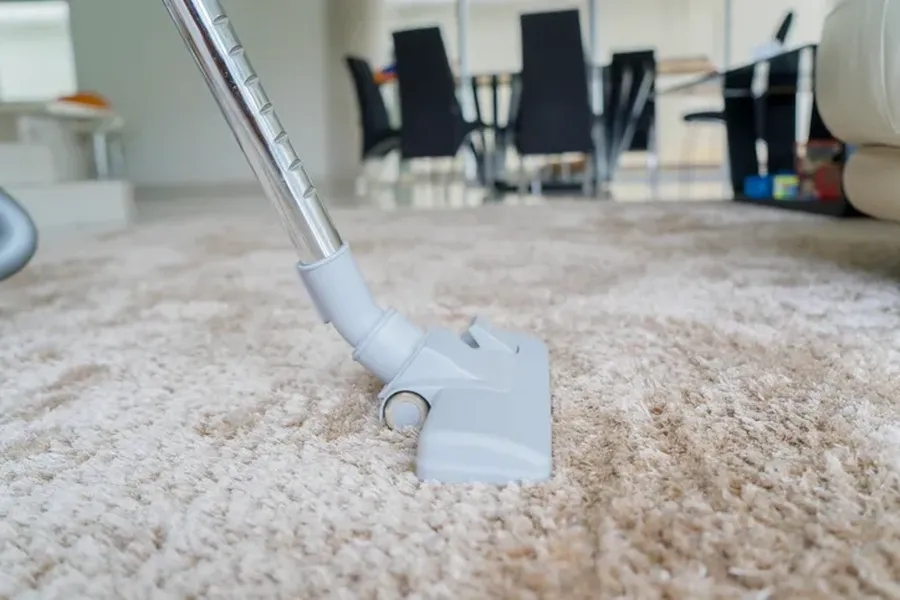 The Role Of Janitorial Services In Carpet Maintenance in Brooklyn, NY The Role Of Janitorial Services In Carpet Maintenance in Brooklyn, NY